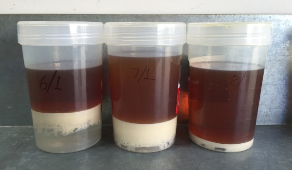 Service | Oil Changes | Water Removal