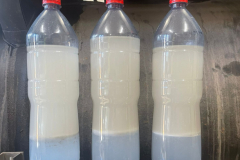 Evacuation - Oil vs Water - A