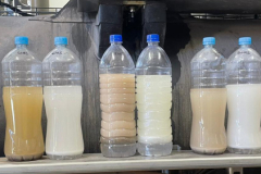 Evacuation - Oil vs Water - C